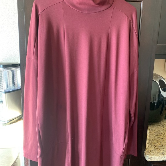 The North Face Tops - North Face Women's tunic.